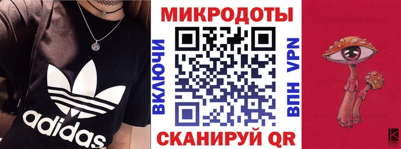 Псилоцибиновые грибы Psilocybe Боготол