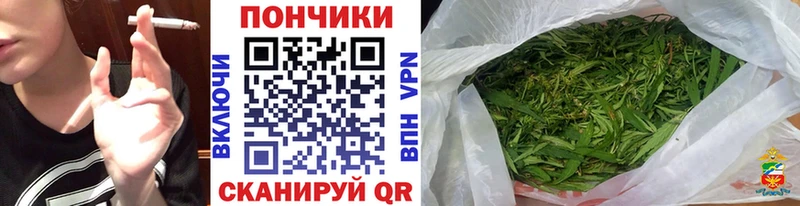 blacksprut   Боготол  Канабис индика 